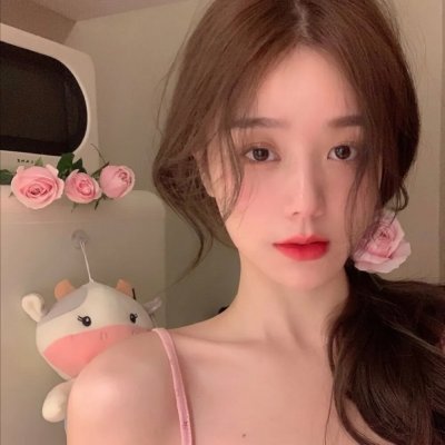 魔导少年剧场版:凤凰巫女海报